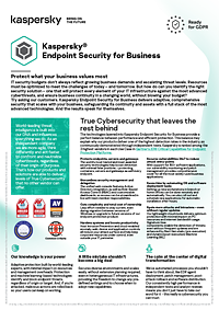 KASPERSKY ENDPOINT SECURITY FOR BUSINESS - DATASHEET