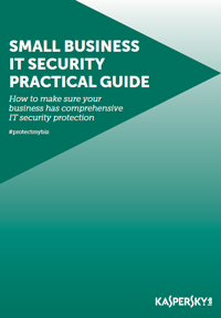Small Business IT Security Practical Guide